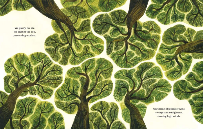 "Be a Tree!" Book