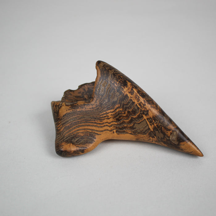 Black Locust Vessel (2014)