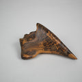Black Locust Vessel (2014)