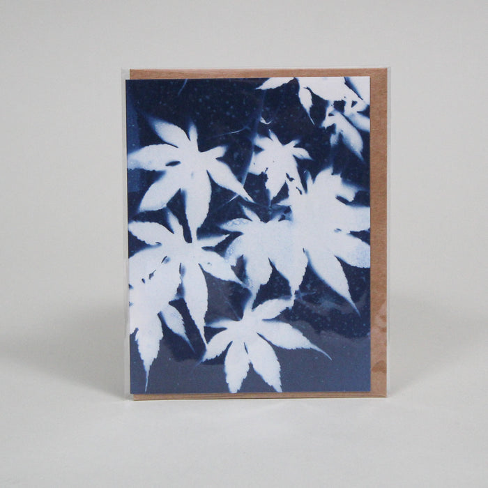 Cyanotype Individual Greeting Cards