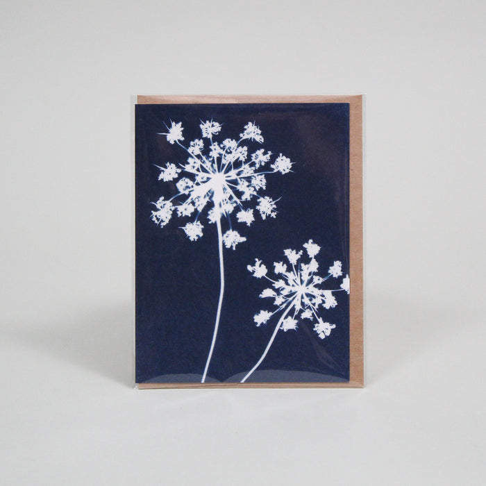 Cyanotype Individual Greeting Cards