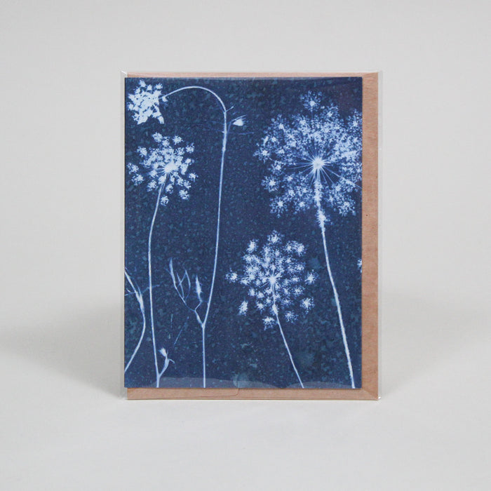 Cyanotype Individual Greeting Cards