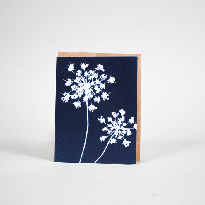 Cyanotype Individual Greeting Cards