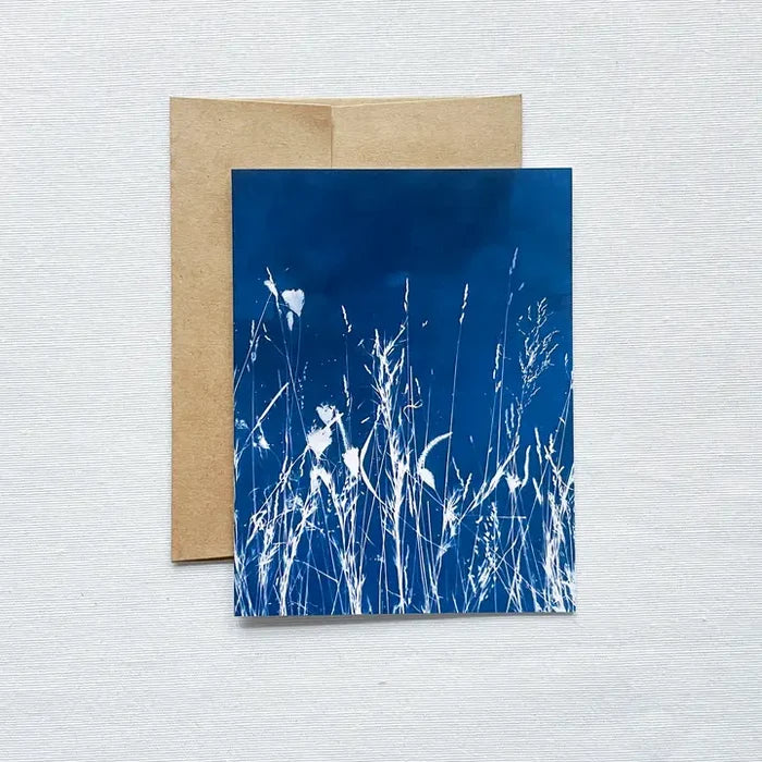 Field no. 1