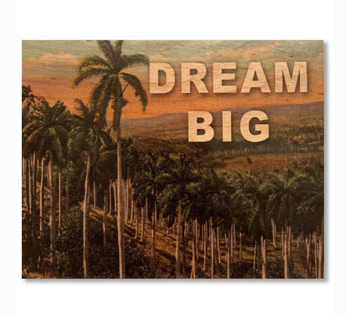 Dream Big