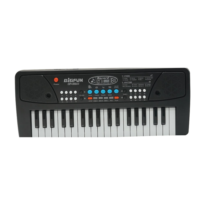 (MR. TOY) Electronic Keyboard Toy with Microphone