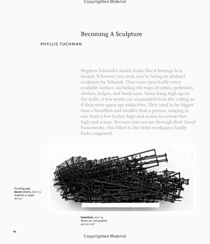 Stephen Talasnik Unearthed: Drawings, Sculpture, Installations