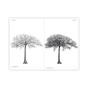 The Architecture of Trees: A Botanical Masterpiece