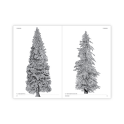 The Architecture of Trees: A Botanical Masterpiece