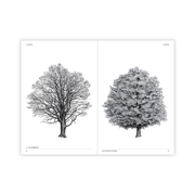 The Architecture of Trees: A Botanical Masterpiece