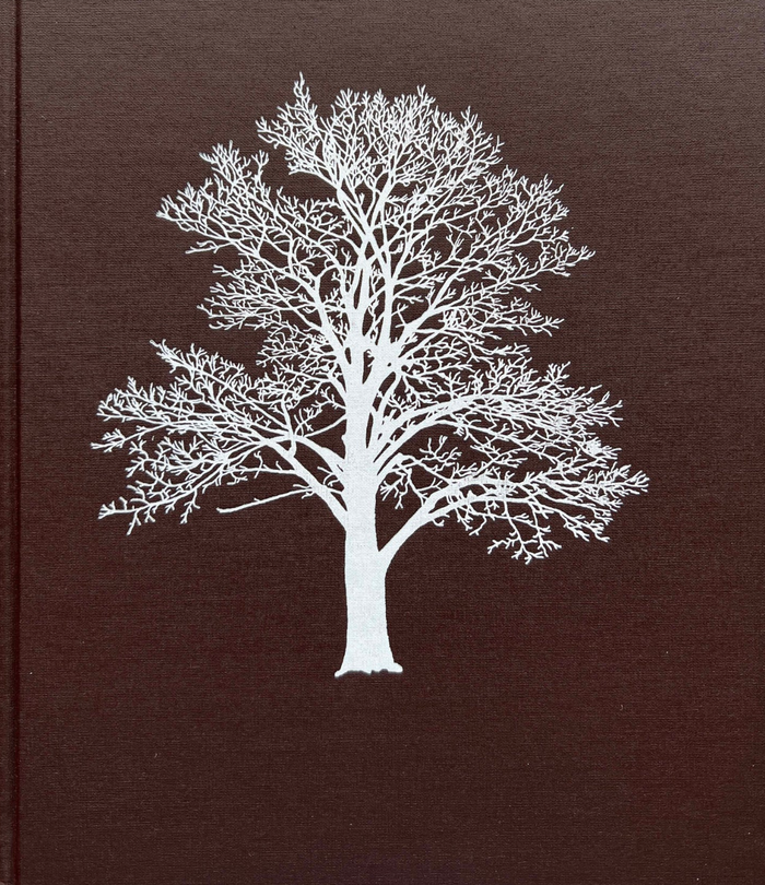 "With the Grain: A Craftsman's Guide to Understanding Wood"